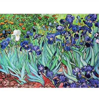 D-Toys 1000 - Van Gogh : Iris