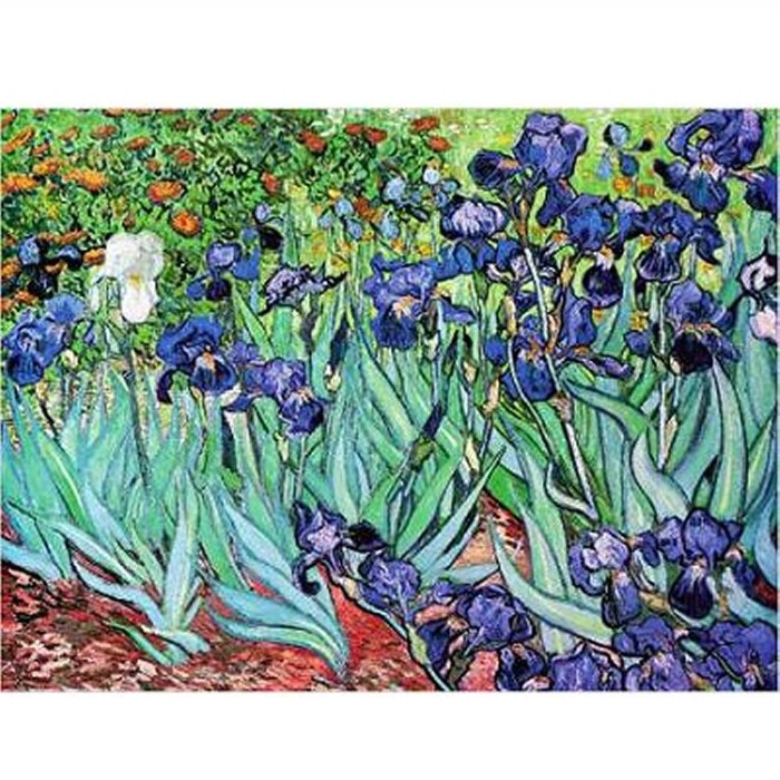 jigsaw-puzzle-1000-pieces-van-gogh-iris_8944-1_fs.jpg