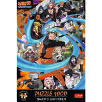 1000-1000-max (98).png
