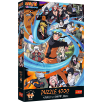 1000-1000-max (100).png
