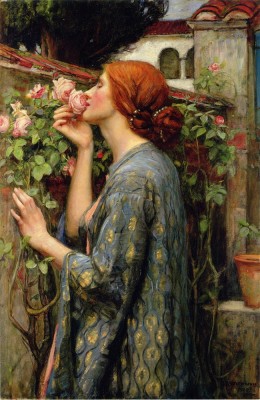D-Toys 1000 - Waterhouse John William: The Soul of the Rose