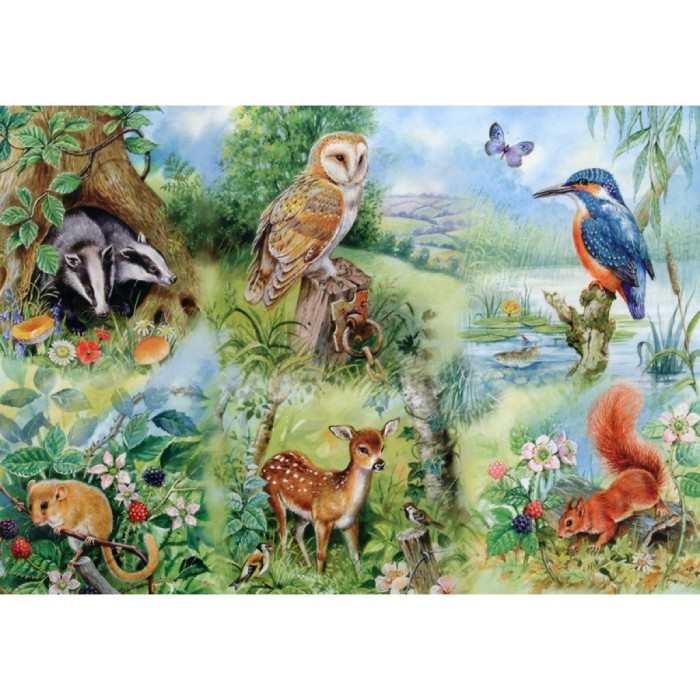 hop-house-of-puzzles-xxl-pieces-nature-study-jigsaw-puzzle-250-pieces.56925-1.fs.jpg
