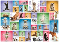 yoga-dogs-jigsaw-puzzle-1000-pieces_58548-1_fs.jpg