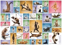 yoga-cats-jigsaw-puzzle-1000-pieces_58547-1_fs.jpg
