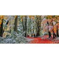 snow-in-autumn-jigsaw-puzzle-636-pieces.102019-1.fs.jpg