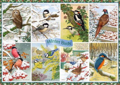 Falcon 1000 - Winter Birds (Zimowe ptaki)