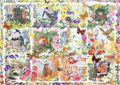 Falcon 1000 - Anne Searle - Country Calendar (Kalendarz ...)