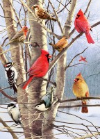 cobble-hill-winter-birds-jigsaw-puzzle-1000-pieces.102687-1.fs.jpg