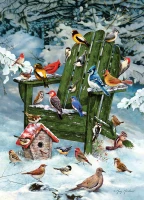80297-for-the-birds-rgb_28636e32-f137-4efb-9e6b-fdf940da8eff_651x900.webp