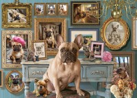 cobble-hill-frenchie-jigsaw-puzzle-500-pieces.102662-1.fs.jpg