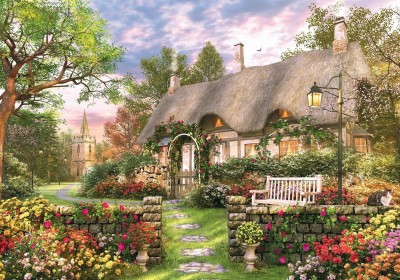 Falcon 1000 - Dominic Davison - The Whitesmith's Cottage