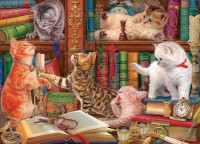 kittens-in-the-library-jigsaw-puzzle-1000-pieces.101480-1.fs.jpg
