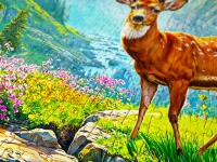 165989.webp