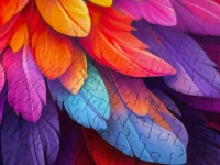 166151.webp