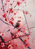 166222.webp