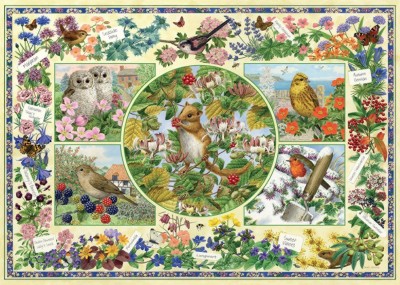 Falcon 1000 - Sarah Adams - The Country Garden