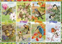 seasonal-garden-birds-jigsaw-puzzle-1000-pieces_57938-1_fs.jpg