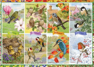 Falcon 1000 - Seasonal Garden Birds