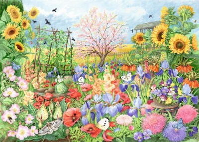 Falcon 1000 - The Sunflower Garden