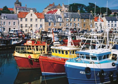 Falcon 1000 - Tom Mackie - Fife Harbour