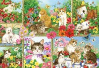 bluebird-puzzle-cats-and-kittens-jigsaw-puzzle-1000-pieces.102964-1.fs.jpg
