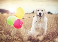 4005555002215.jpg