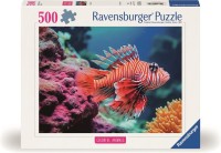 40055550133412.jpg