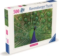 40055550133273.jpg