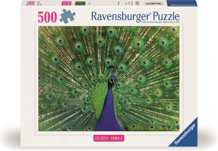 40055550133272.jpg