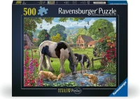 40055550157032.jpg