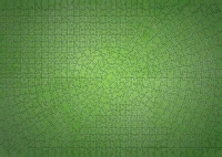 12000276_1.webp