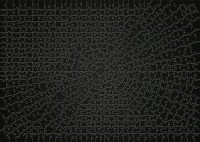 12000054_1.webp