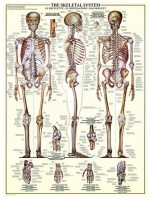 jigsaw-puzzle-1000-pieces_42482-2_fs.jpg