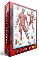 systeme-musculaire-puzzle-1000-pieces_42330-3_fs.jpg