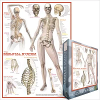 systeme-squelettique-puzzle-1000-pieces_42329-2_fs.jpg