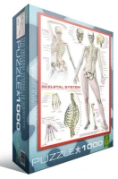 systeme-squelettique-puzzle-1000-pieces_42329-3.jpg