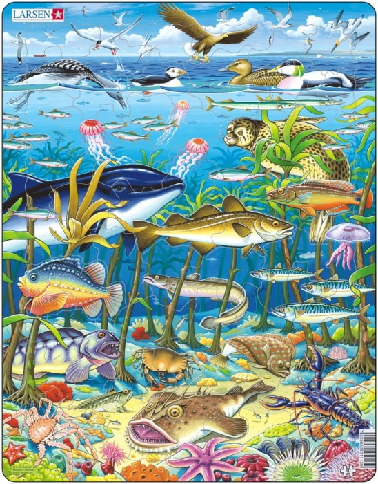 puzzle-cadre-les-animaux-marins-puzzle-60-pieces_48416-1_fs.jpg
