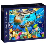 bluebird-puzzle-turtle-beach-jigsaw-puzzle-300-pieces.90956-2.fs.jpg