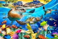 bluebird-puzzle-turtle-beach-jigsaw-puzzle-300-pieces.90956-1.fs.jpg