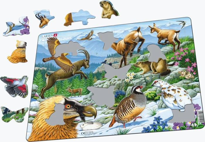 FH12-ILL01_illustrative-image-1_1000.jpg