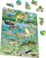FH19-ILL01_illustrative-image-1_1000.jpg