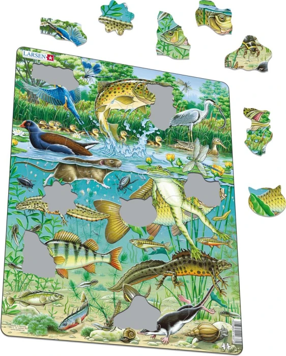 FH19-ILL01_illustrative-image-1_1000.jpg