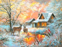 frosty-glow-jigsaw-puzzle-500-pieces.103052-1.fs.jpg