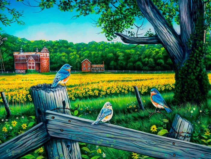 sunflower-valley-blues-jigsaw-puzzle-500-pieces.103042-1.fs.jpg