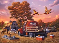 whats-the-point-jigsaw-puzzle-1000-pieces.103081-1.fs.jpg