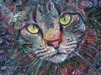 psychedelic-kitty-cat-jigsaw-puzzle-1000-pieces.103060-1.fs.jpg