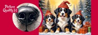 csPhotos_Photo_DD0D54A6-C1A9-43F4-8EE9-7F1C2F1FDF9D_1.png