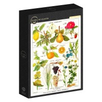 illustration-from-the-larousse-medical-illustre-astringent-and-aperitive-plants-1912-jigsaw-puzzle-1000-pieces.103360-2.fs.jpg