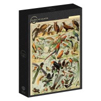 illustration-from-the-larousse-pour-tous-birds-19th-century-jigsaw-puzzle-1000-pieces.103362-2.fs.jpg