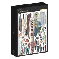illustration-from-larousse-pour-tous-feathers-1907-1910-jigsaw-puzzle-1000-pieces.103365-2.fs.jpg
